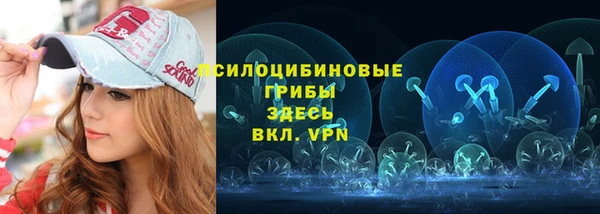 шишки Абинск