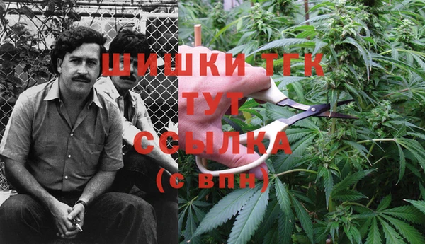 прущие крисы Абдулино