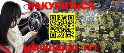 spice Новозыбков