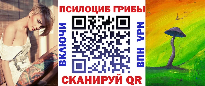Псилоцибиновые грибы прущие грибы  Сокол 