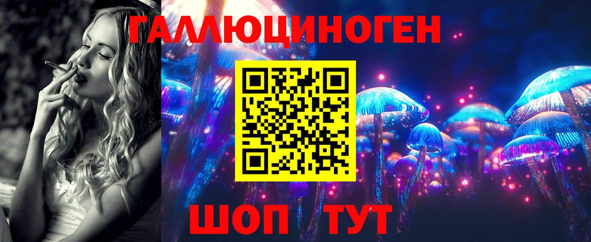 Сокол  Галлюциногенные грибы прущие грибы  купить закладку  Вход с VPN 